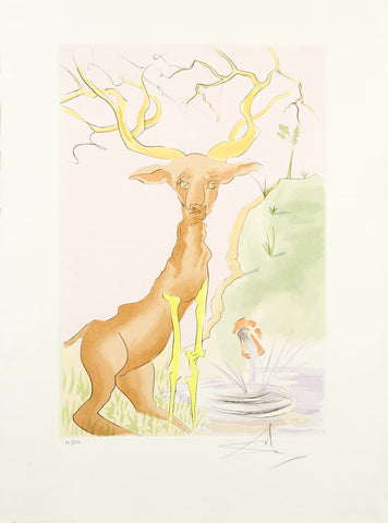 Le Cerf se Voyant Dans Leau